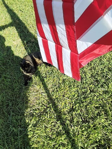 Rascal with Changing Flag 2 82123