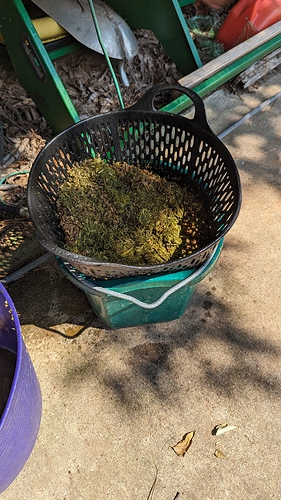 PXL_20230716_150409741