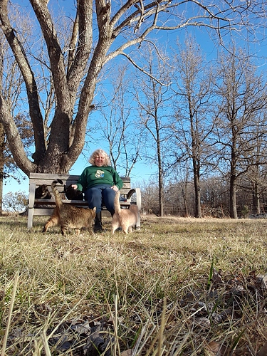 Deborah on Bench of Purring with Cats 2 22022