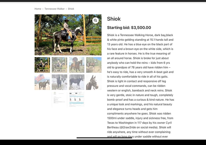 Screenshot_20231217-231225~2