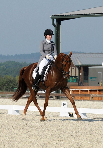 Stable View Dressage cropped