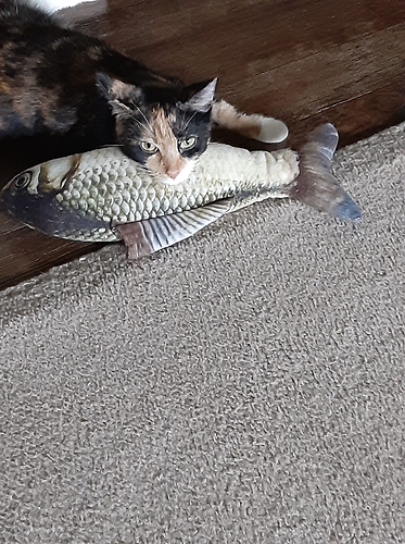 Psalm with Fish 101521