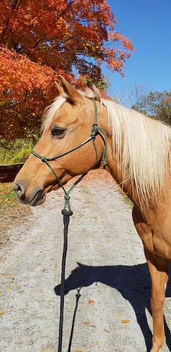 fall portrait