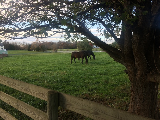 11-08 F & R out again
