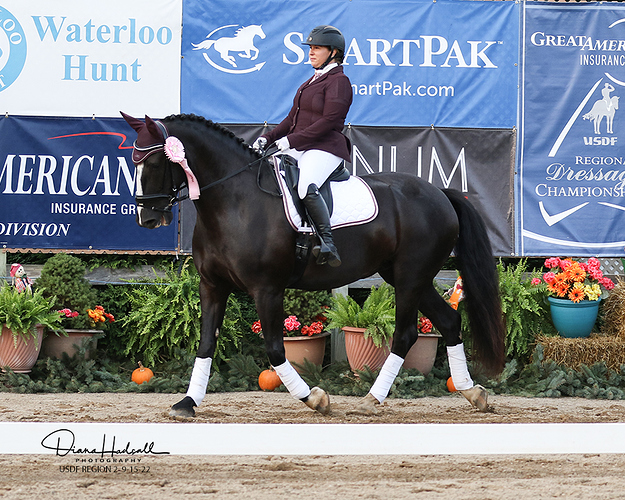 web 1677 9027 aw hamilton