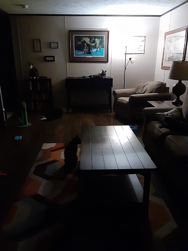 Psalm, Solo, Little Bit, Pharaoh, and Brio in Living Room 062424