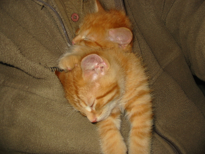 Dec 2010 048