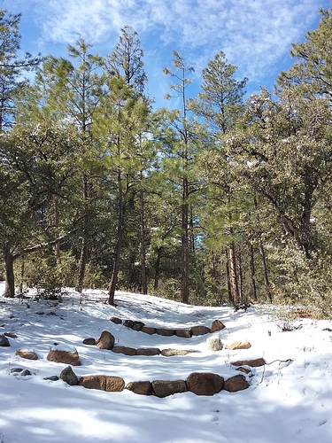 snow steps