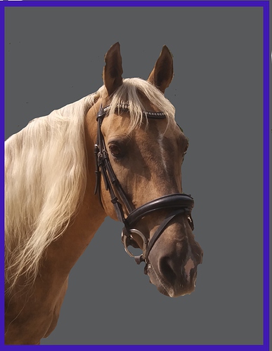 Aflie portrait