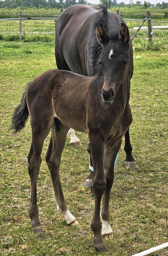 Finn-2wks