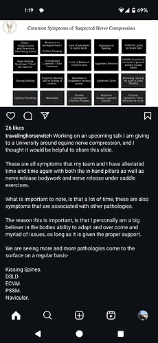 Screenshot_20240804-131909
