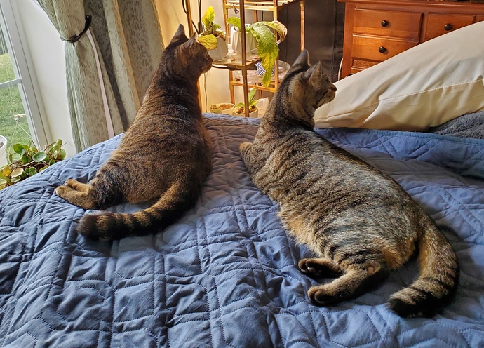 Atticus and marie