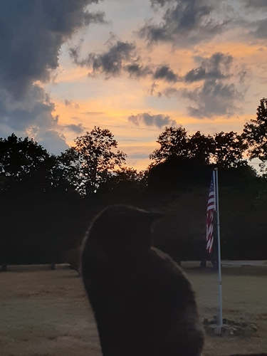 Rascal with Sunset Clouds 72522