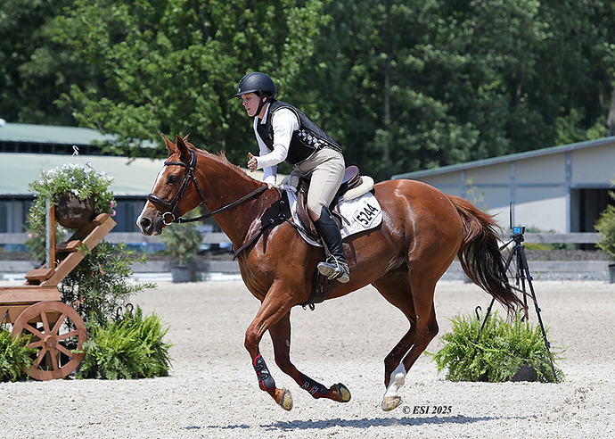 Horse1_LOW_RES_HARTLEY3
