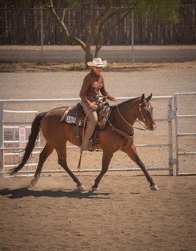 Pepsi long trot