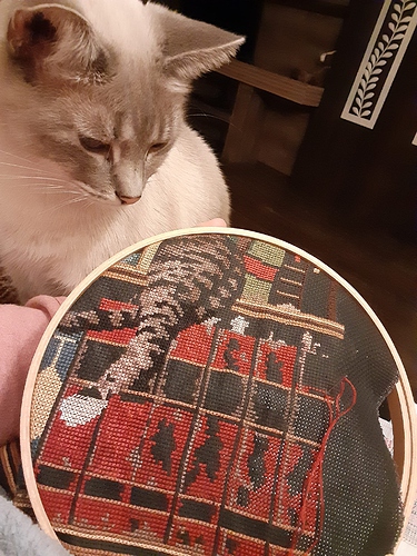 Atticus with Craft Cat 122322