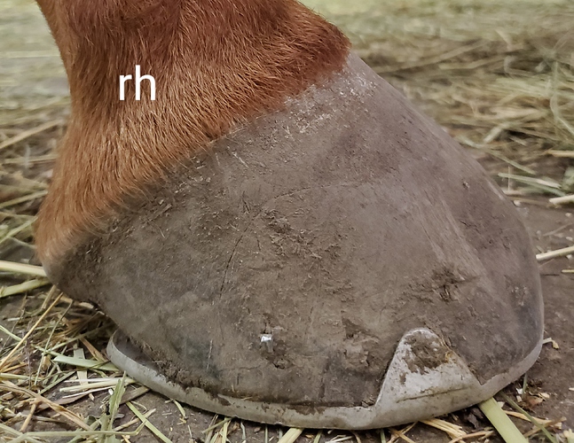 20190531_210541