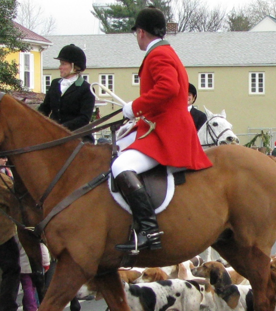 IMG_0617-cropped3.JPG