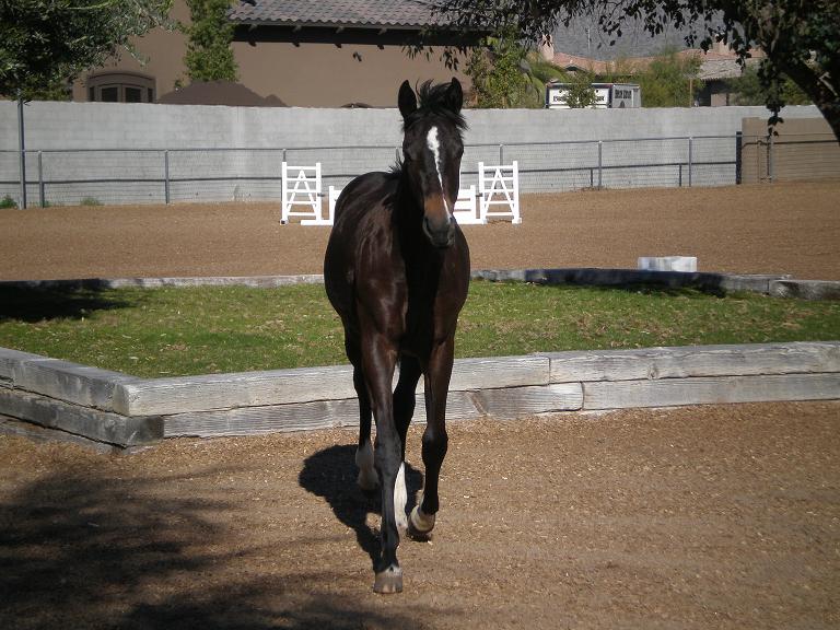ace jan 2 001.JPG