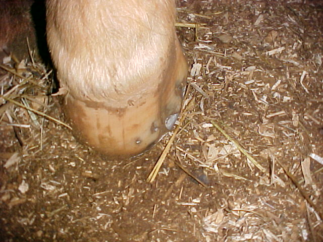 Mvc-005f.jpg