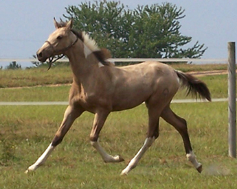 MaraSept012pic2small.jpg