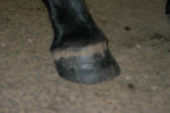 Alex_Right_Front.jpg