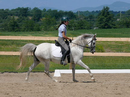 Tawny_canter25.jpg