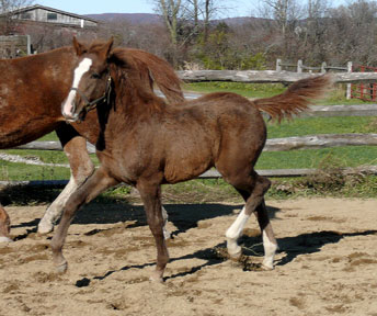 Wish110208-008.jpg