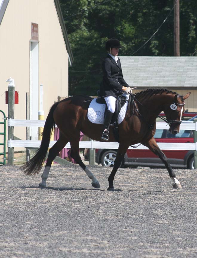 adelaide trot sm.jpg
