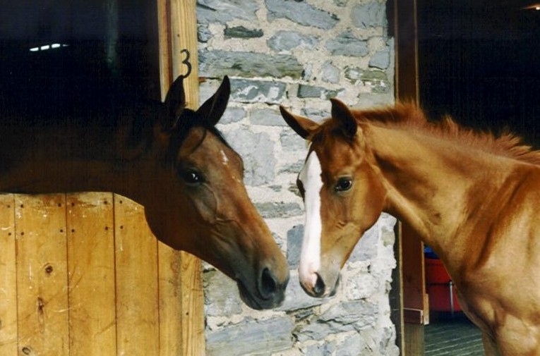 Celeste and Diva crop95 .jpg