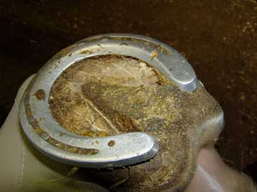 rtfrontsole.jpg