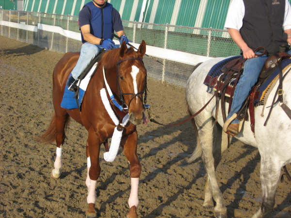 curlin, steves lil girl 002.JPG