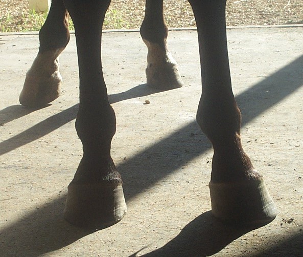 front_view.jpg