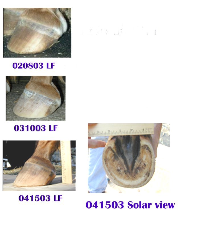 041603_CLOTH.jpg