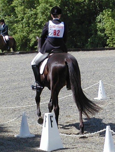 Olney_dressage_8.JPG