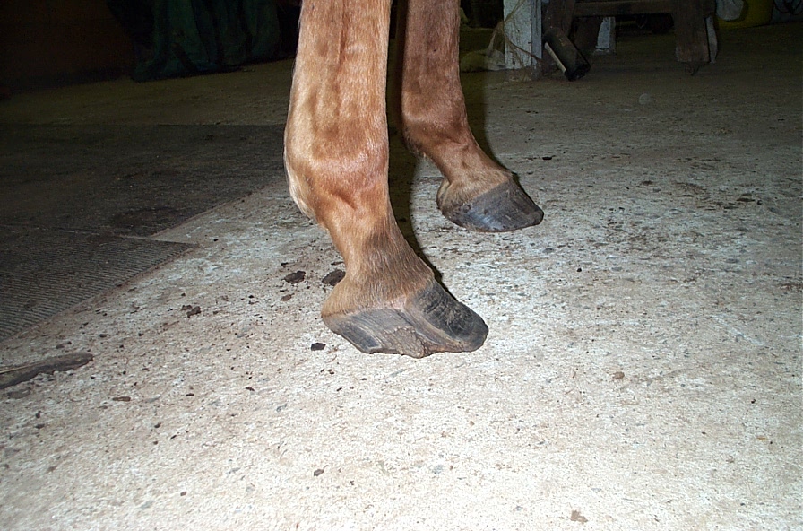 various_102502_001.jpg