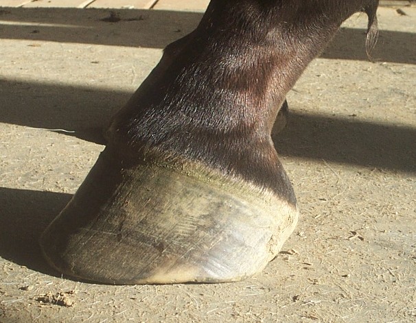side_view.jpg