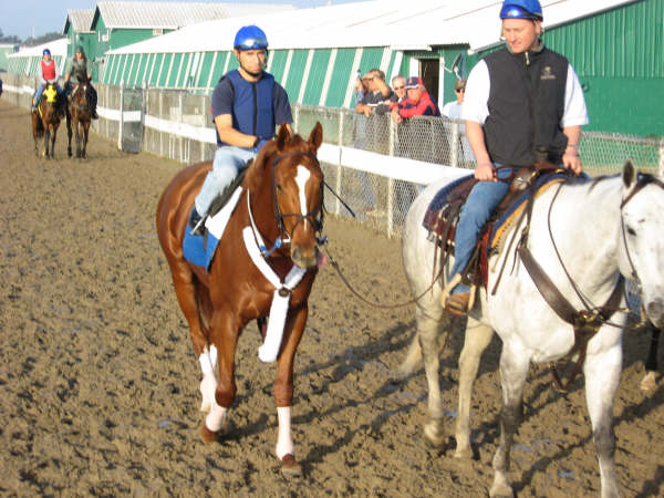 curlin, steves lil girl 003.JPG