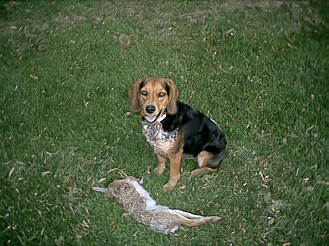 Peanut and her rabbit.jpg