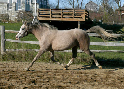 Titania110208-054.jpg