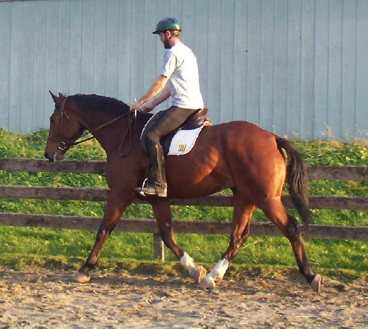 MisterTrot2US.jpg