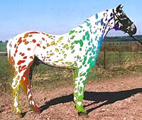 perollosappapinto.jpg