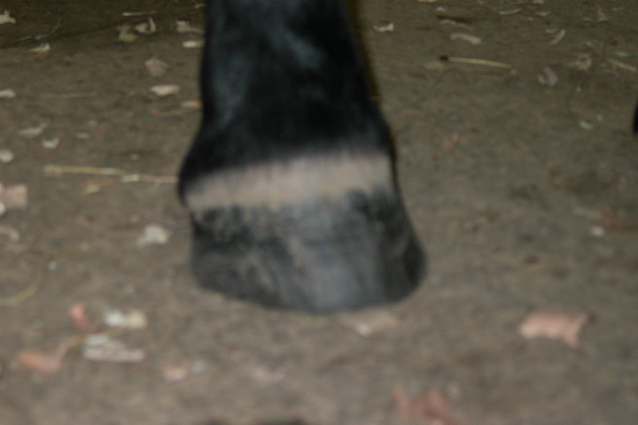 Alex_Right_Rear.jpg