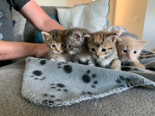 daisy's kids