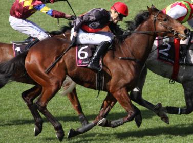 Optimized-Horse-Racing_mini-770x572.jpg