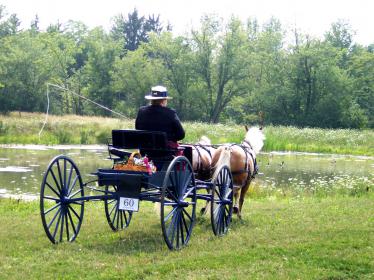 show 07 back view.jpg