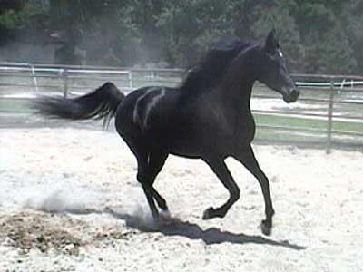 moon3yrs11.jpg