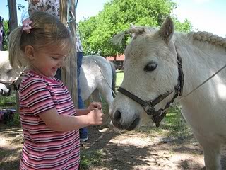 IMG_0270-2