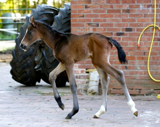 QT_walk4_30.jpg