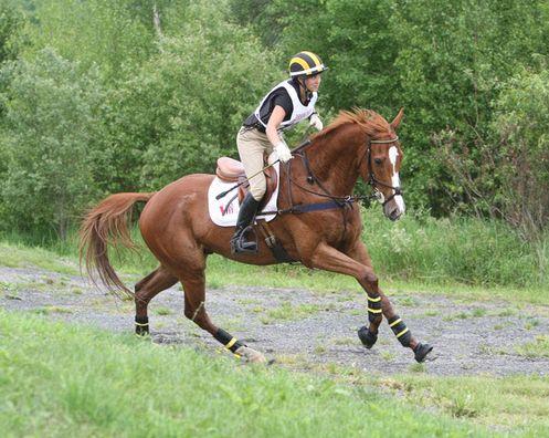 hewiebromont3_25880028_std.jpg